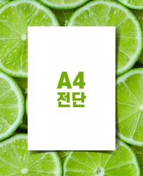 A4전단