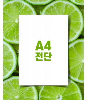 A4전단