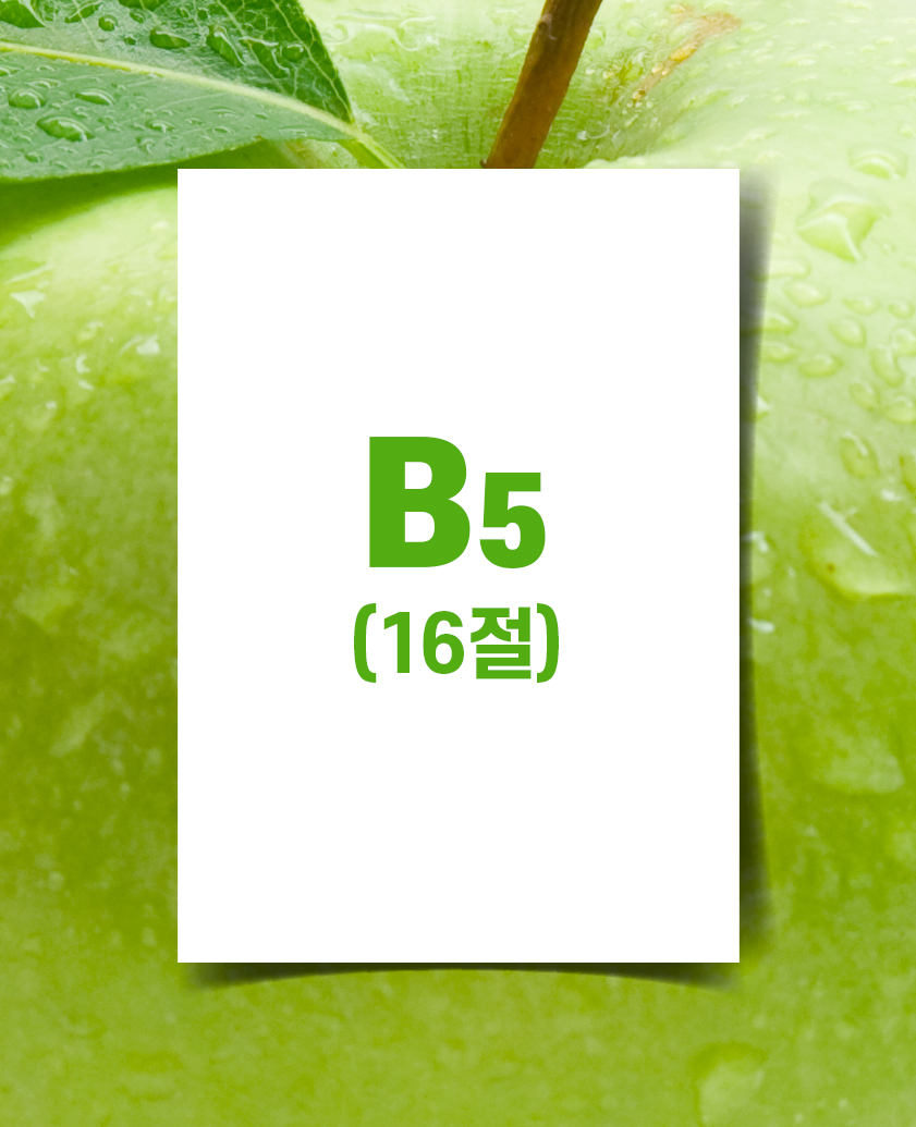 B5전단(아트지 90g) 16절