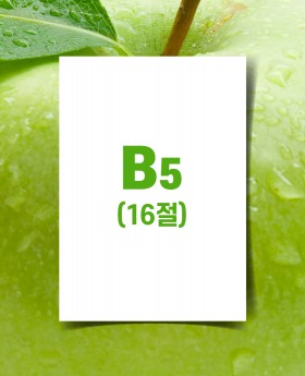B5전단(아트지 90g) 16절