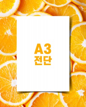 8절전단(아트지 90g)