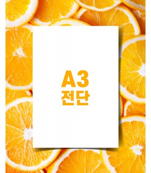 8절전단(아트지 90g)