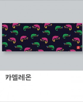 카멜레온(아사80수)