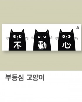 부동심 고양이