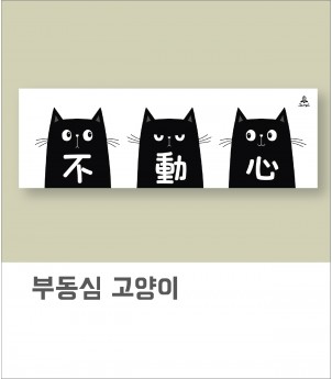 부동심 고양이