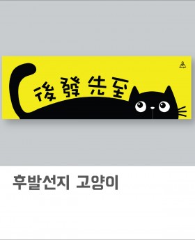 후발선지 고양이