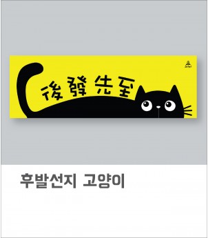 후발선지 고양이