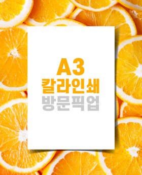 A3칼라인쇄 (모조지 120g) / 방문픽업